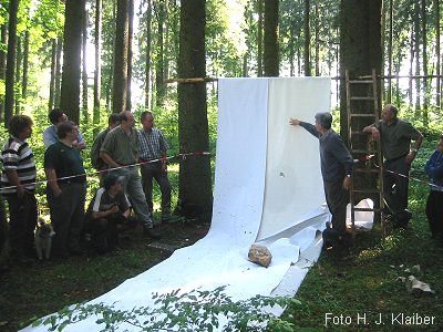 Oft unterschätz! Die Zerlegung und Splitterwirkung des Geschosses hier beeindruckend demonstriert!