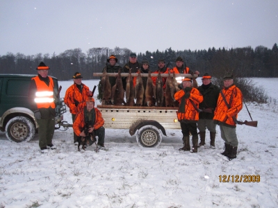 Jägervereinigung Sigmaringen: Jagdstatistik für das Jagdjahr 2011/2012