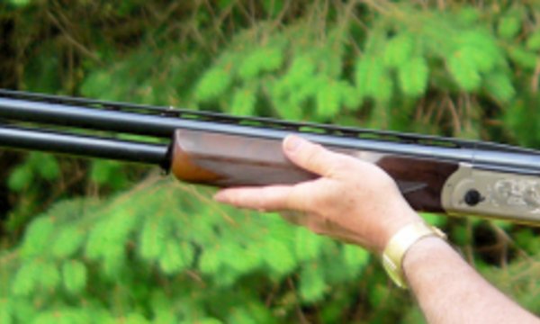 Eine Person hält eine doppelläufige Schusswaffe mit Holzgriff inmitten einer grünen, bewaldeten Umgebung. Die Waffe ist zum Abfeuern bereit.