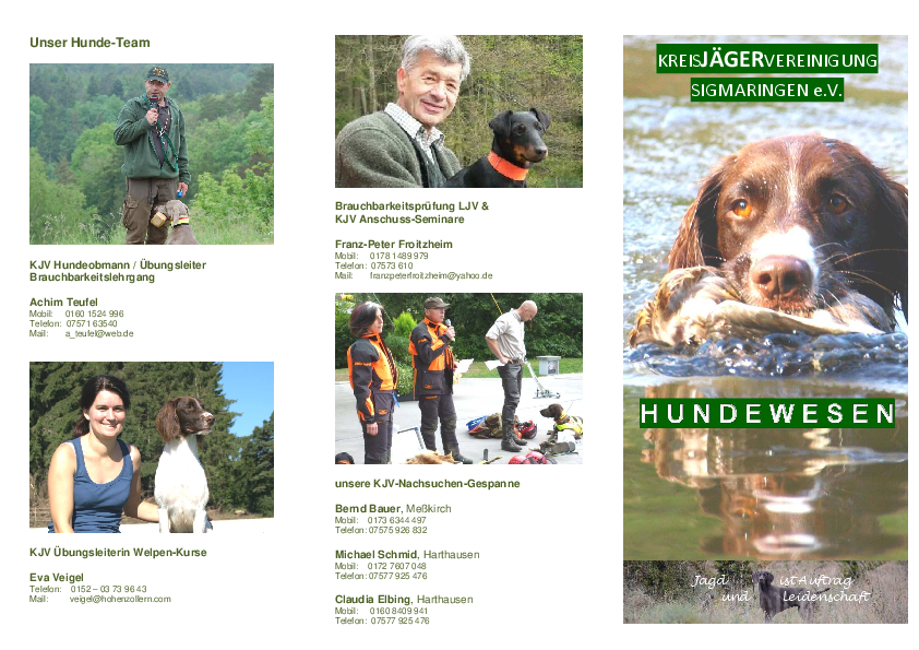pdf-preview