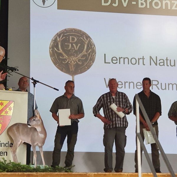 Hohe Auszeichnungen DJV-Silber, Bronze und KJV Verdienstnadel
