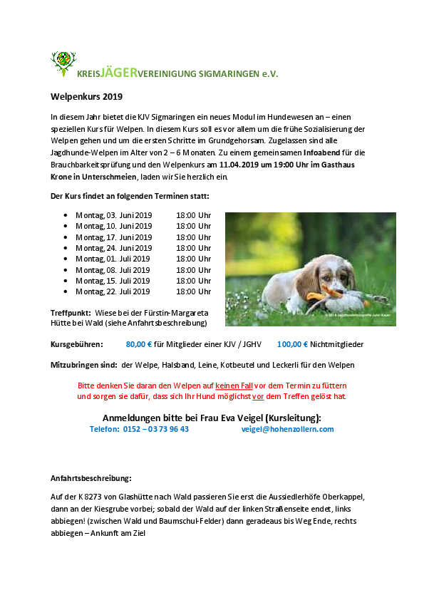 pdf-preview
