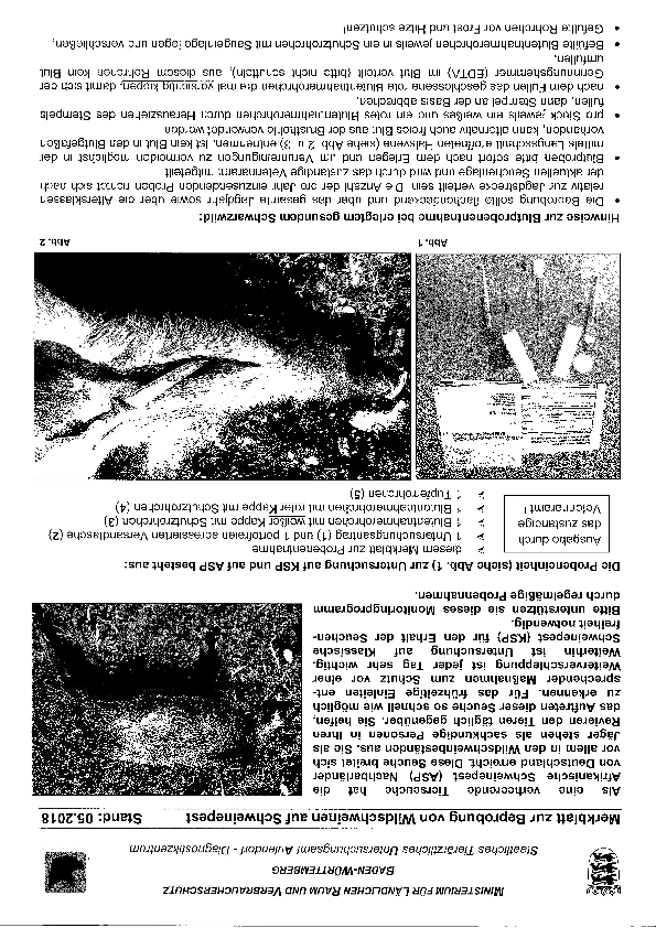 pdf-preview