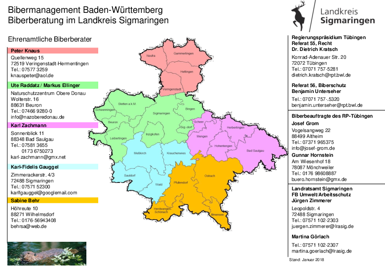 pdf-preview