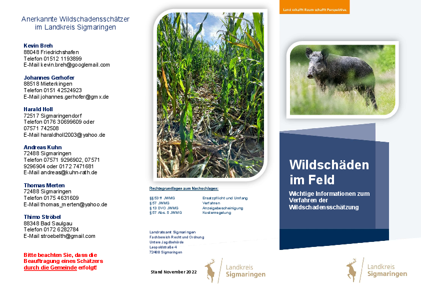 pdf-preview