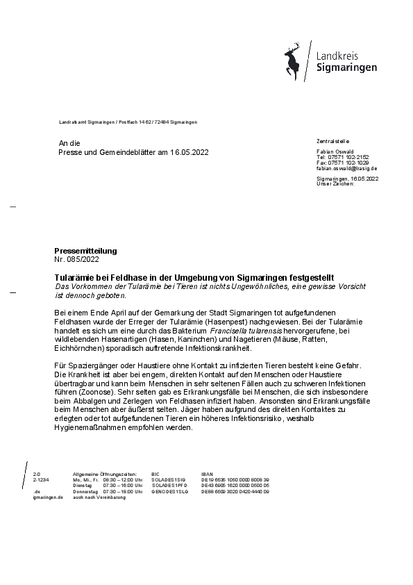 pdf-preview