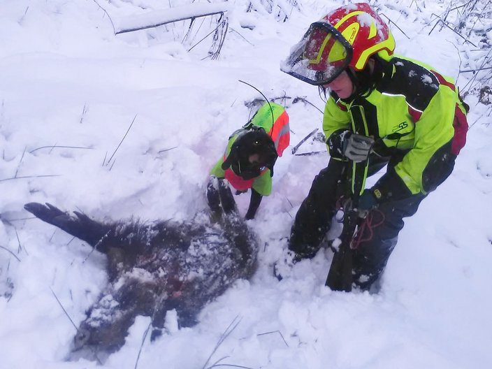 erfolgreiche Nachsuche - Claudia Elbing