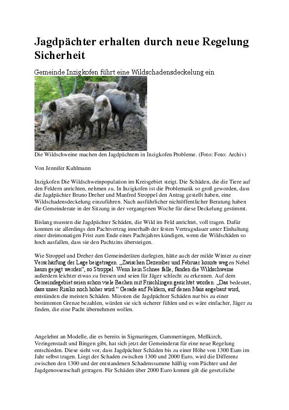pdf-preview