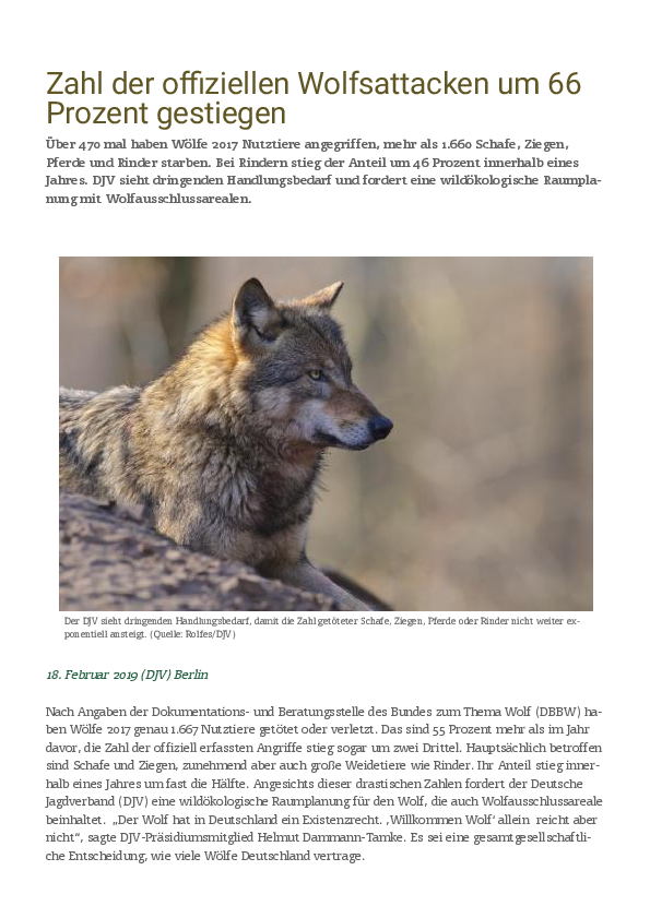 pdf-preview