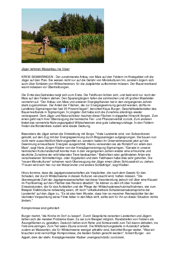 pdf-preview
