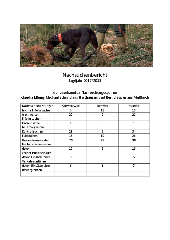pdf-preview