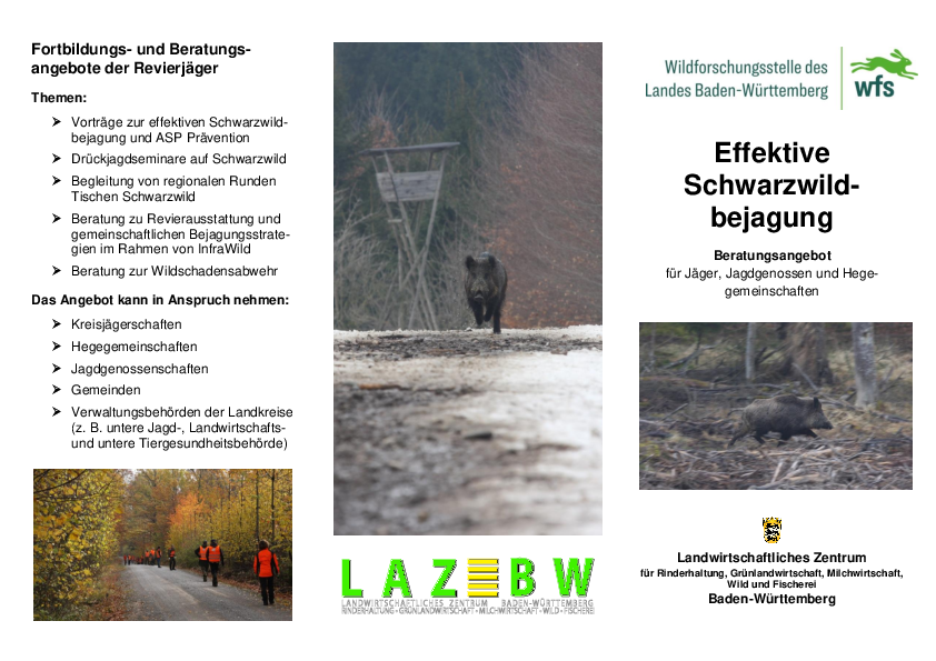 pdf-preview