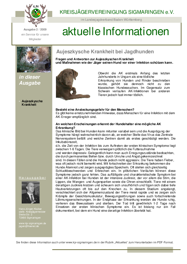 pdf-preview